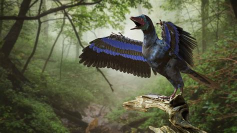   Diopsaurus! An Unexpected Avian Maestro With Feathers Brighter Than a Tropical Sunrise